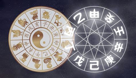 2025年 巳年|2025年の干支「乙巳(きのと・み)」はどんな年かを詳しく解説!